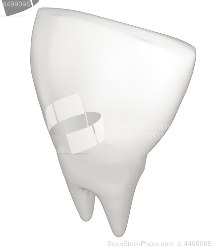 Image of Tooth. 3d illustration