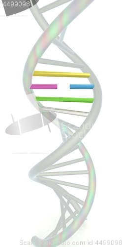 Image of DNA structure model on white. 3d illustration