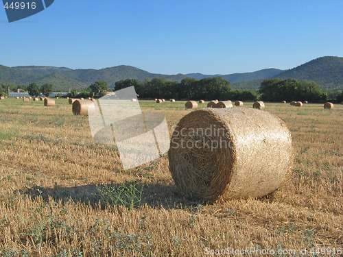 Image of hayrolls