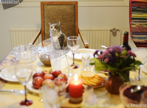 Image of  cat sits in a chair behind the laid table