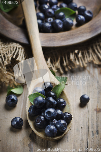 Image of Blueberry