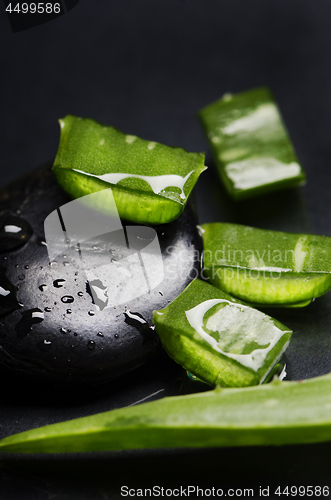 Image of Aloe Vera