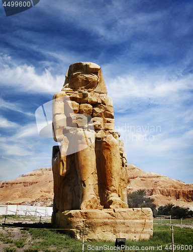 Image of The Colossi of Memnon