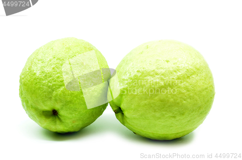 Image of Green guava isolated 