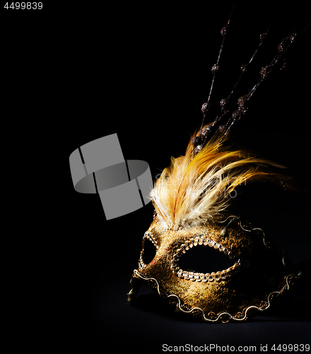 Image of Venetian Mask