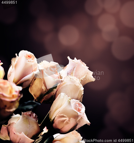 Image of Roses