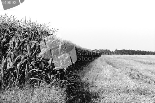 Image of Farming