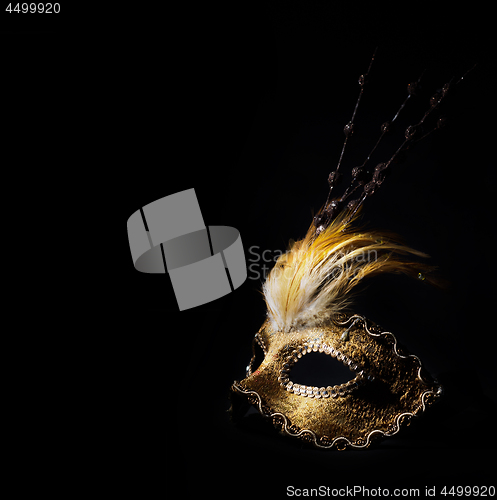 Image of Venetian Mask