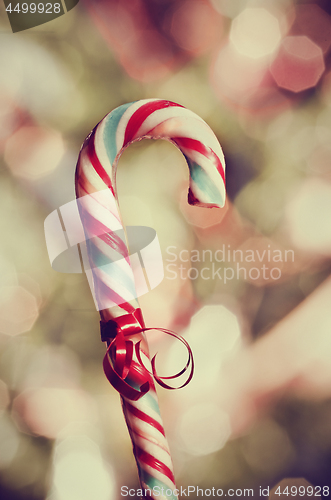 Image of Candy Cane