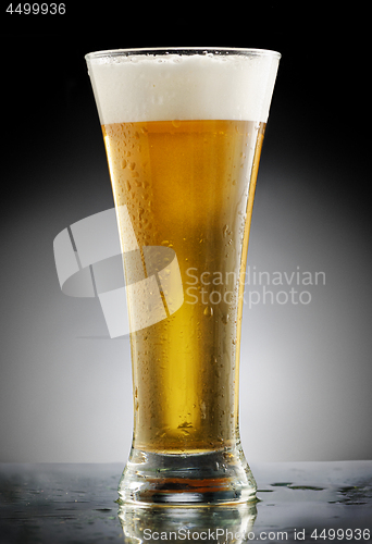 Image of Glass of Beer