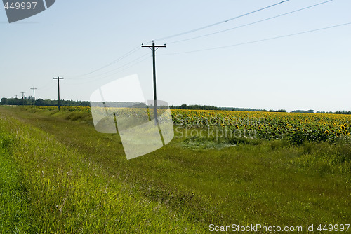 Image of Prairie Ditch