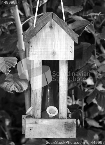 Image of Humming Bird Feeder