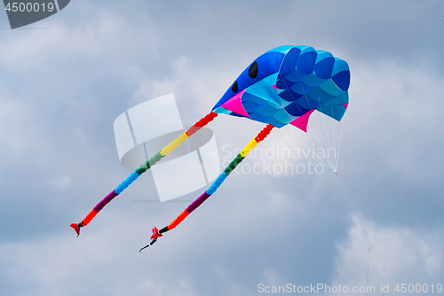Image of Colourful soft kite flying