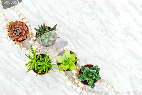 Image of Succulent plants and pearl necklace