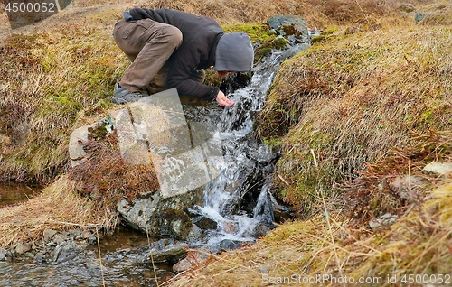 Image of Drinking from a stream in Iceland