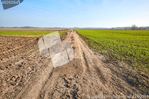 Image of Agircutural field with dirt road