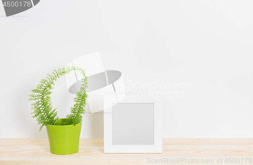 Image of White picture frame and fern in green pot