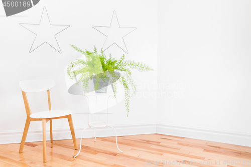 Image of Bright room corner with simple furniture and Asparagus fern plan