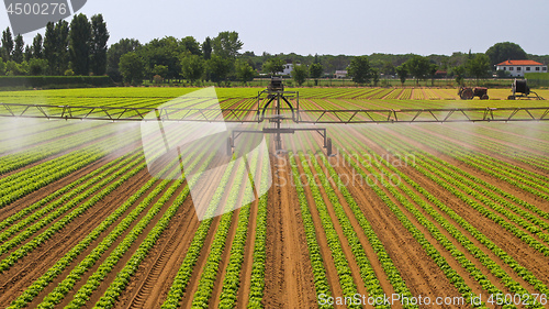 Image of Water Irrigation Sprinkler