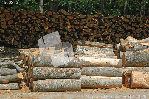 Image of Wood Logs