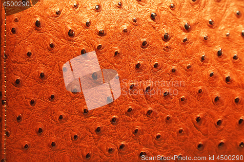 Image of Ostrich Leather Pattern