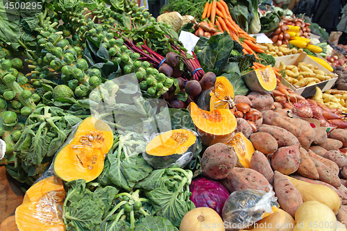 Image of Organic Vegetables