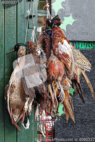 Image of Pheasants Game