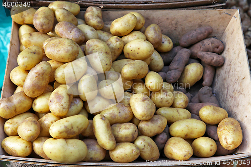 Image of Potato
