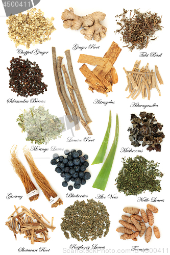 Image of Adaptogen Herb Spice and Berry Fruit Selection 