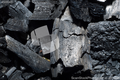 Image of Charred Wood