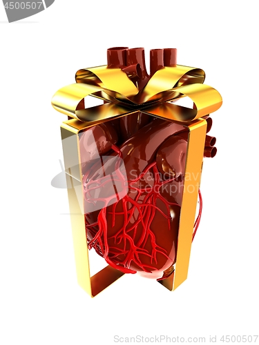 Image of Red human heart with ribbon. Donor concept. 3d illustration