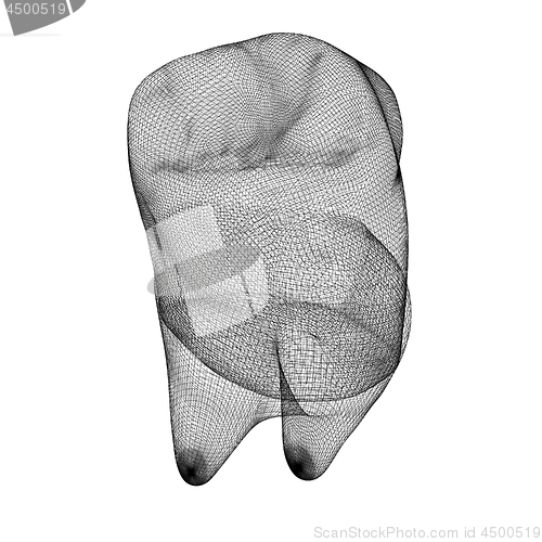 Image of Mesh model of tooth. 3d illustration