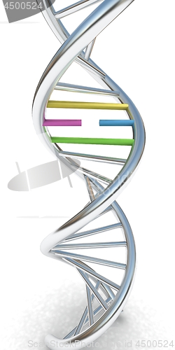 Image of DNA structure model on white. 3d illustration