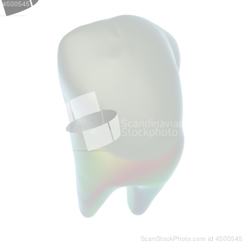 Image of Tooth. 3d illustration