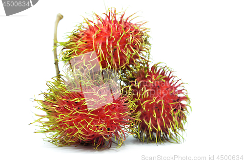 Image of Ripe rambutan isolated