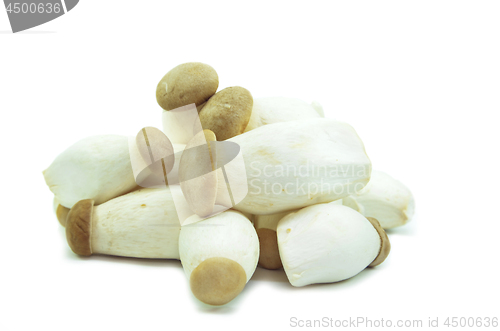 Image of Organic baby king oyster mushrooms