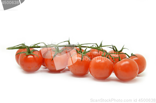 Image of Red cherry tomato