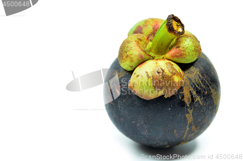 Image of Ripe mangosteen fruit isolated