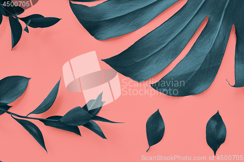 Image of Green leaves Monstera on a color Living Coral background. Creative greeting card. Flat lay