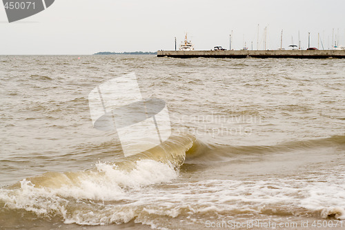 Image of Windy Harbor