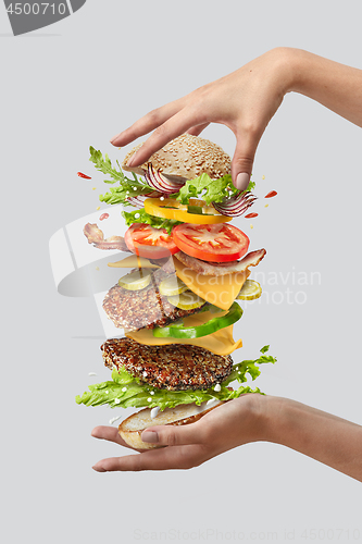 Image of Girl\'s hands hold big tasty homemade burger with flying natutal ingredients on a white background. Copy space.