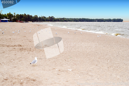 Image of Sandy Beach