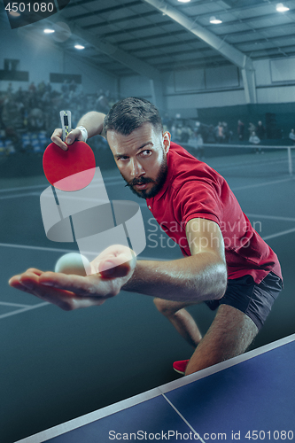 Image of The table tennis player serving