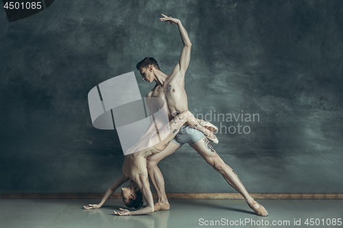 Image of The young modern ballet dancers posing on gray studio background