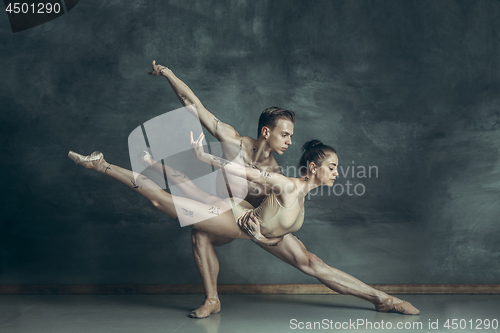 Image of The young modern ballet dancers posing on gray studio background