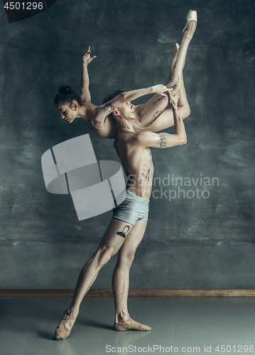 Image of The young modern ballet dancers posing on gray studio background