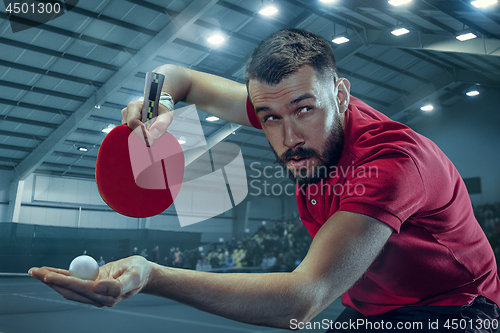 Image of The table tennis player serving