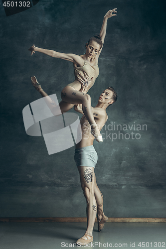 Image of The young modern ballet dancers posing on gray studio background