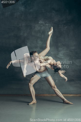 Image of The young modern ballet dancers posing on gray studio background