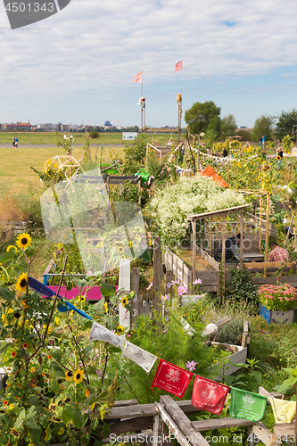 Image of Urban gardening at Tempelhofer field, former airport in Berlin, Germany.